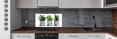 Konyhai dekorpanel Aromás növények