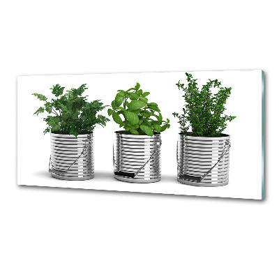 Konyhai dekorpanel Aromás növények