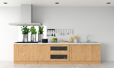 Konyhai dekorpanel Aromás növények