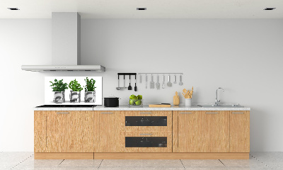 Konyhai dekorpanel Aromás növények