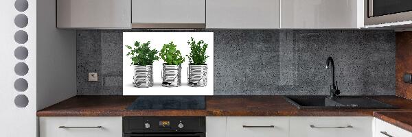 Konyhai dekorpanel Aromás növények