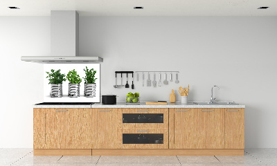 Konyhai dekorpanel Aromás növények