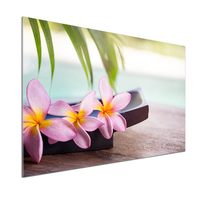 Konyhai hátfalpanel Plumeria