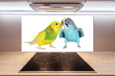 Konyhai fali panel Budgies