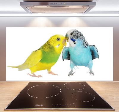 Konyhai fali panel Budgies