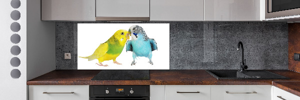 Konyhai fali panel Budgies