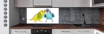 Konyhai fali panel Budgies