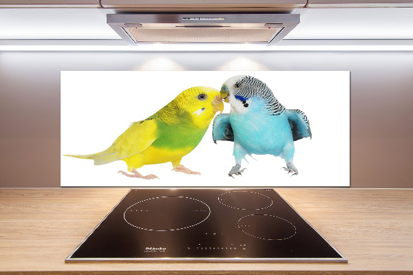 Konyhai fali panel Budgies