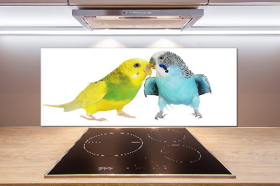 Konyhai fali panel Budgies