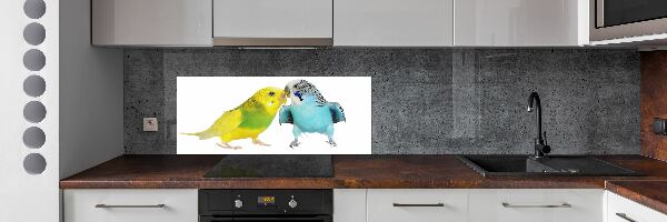 Konyhai fali panel Budgies