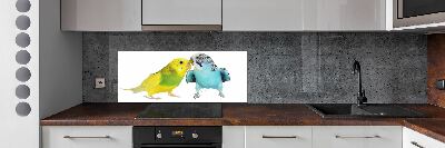 Konyhai fali panel Budgies