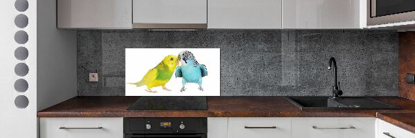 Konyhai fali panel Budgies