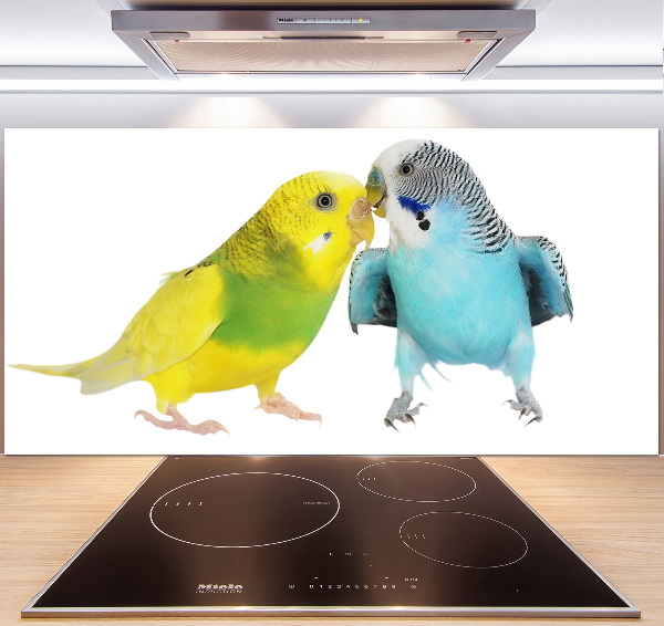 Konyhai fali panel Budgies