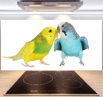 Konyhai fali panel Budgies