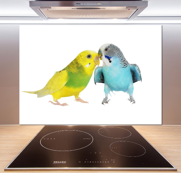 Konyhai fali panel Budgies