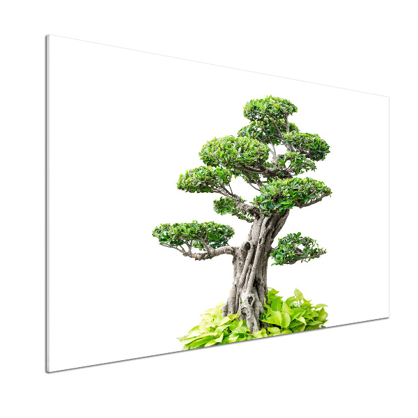 Konyhai hátfalpanel Bonsai fa