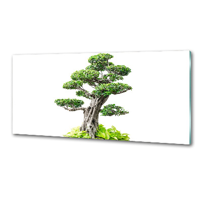 Konyhai hátfalpanel Bonsai fa