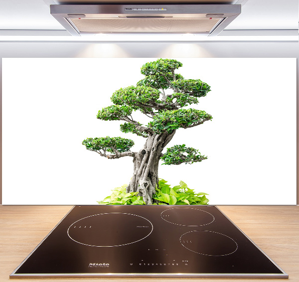 Konyhai hátfalpanel Bonsai fa