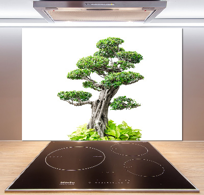 Konyhai hátfalpanel Bonsai fa