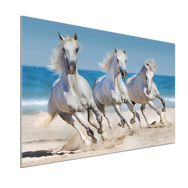 Konyhai fali panel White horse beach