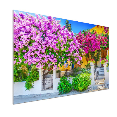 Konyhai hátfalpanel Ház bougainvillea