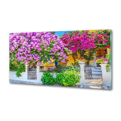 Konyhai hátfalpanel Ház bougainvillea