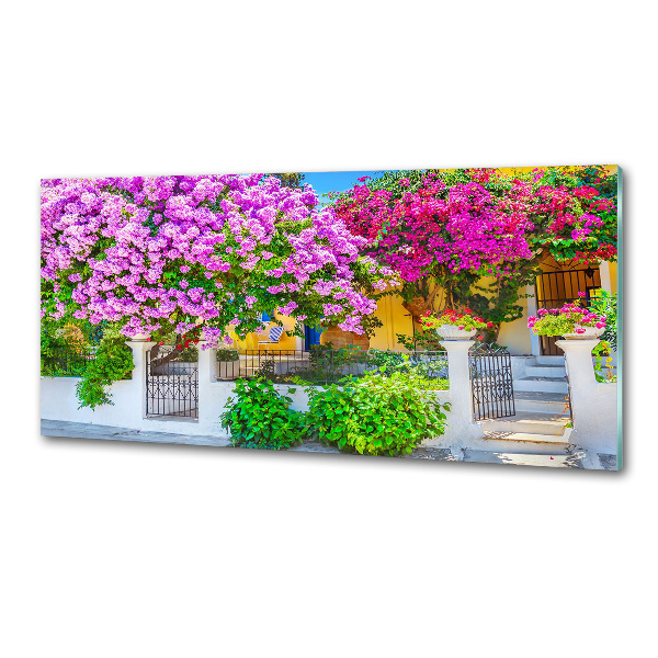 Konyhai hátfalpanel Ház bougainvillea