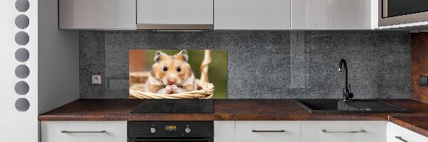 Konyhai fali panel Hamster a kosárban