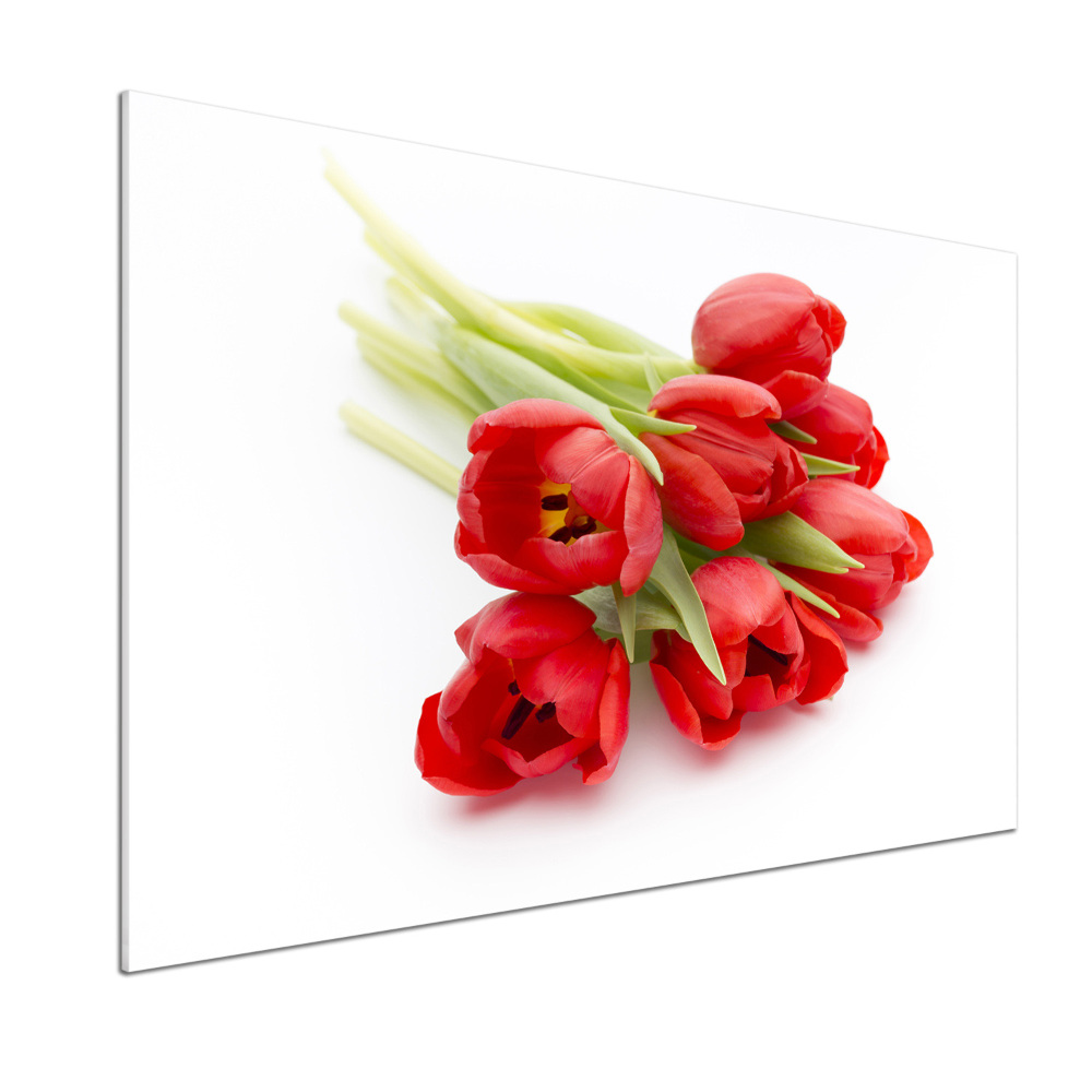 Konyhai hátfalpanel Piros tulipánok