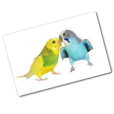 Üveg vágódeszka Budgies