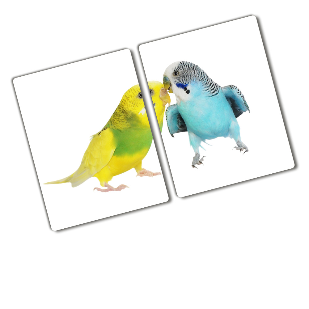 Üveg vágódeszka Budgies