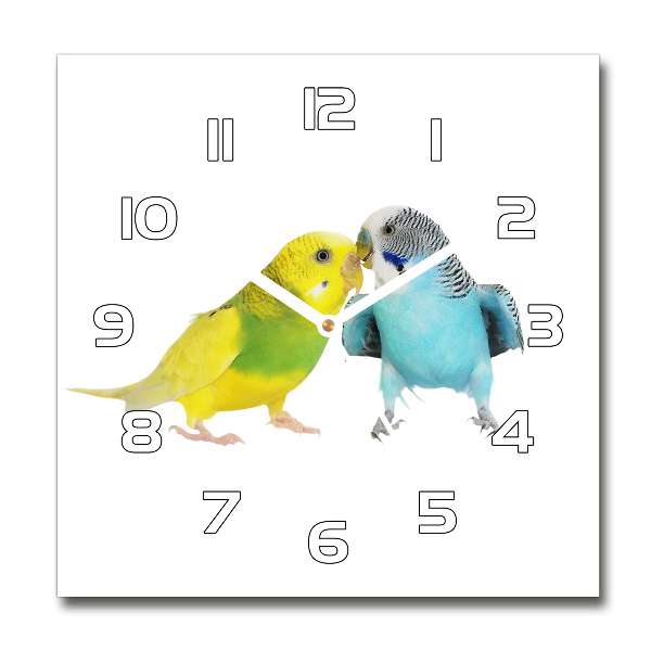 Szögletes üvegóra Budgies