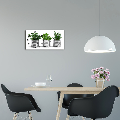 Üvegóra vízszintesen Aromás növények