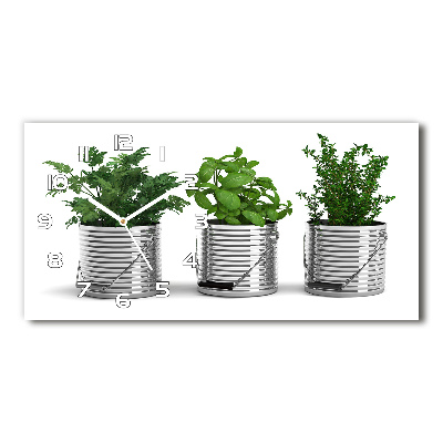 Üvegóra vízszintesen Aromás növények
