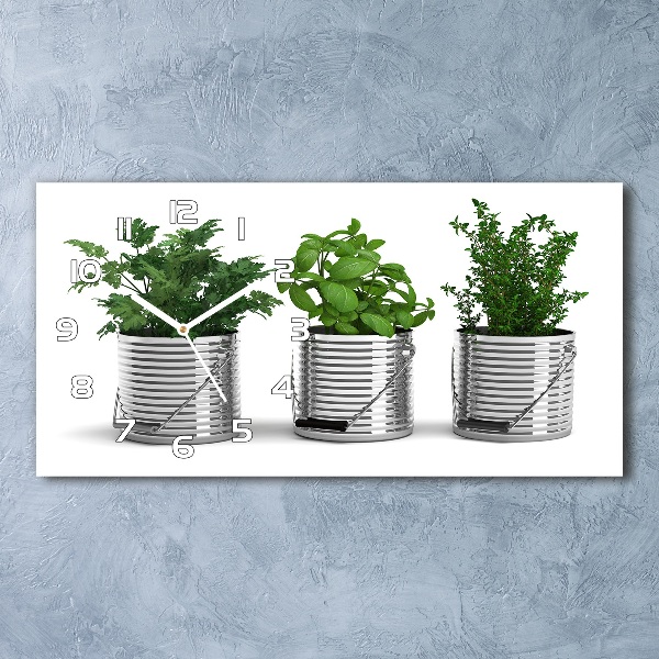 Üvegóra vízszintesen Aromás növények