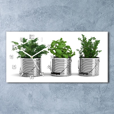 Üvegóra vízszintesen Aromás növények