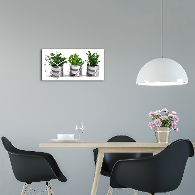 Üvegóra vízszintesen Aromás növények