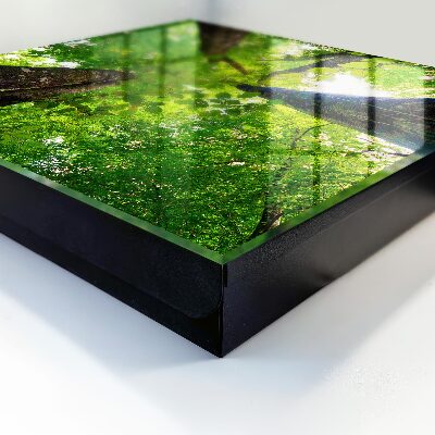 Modern kulcstartó szekrény Erdei égbolt