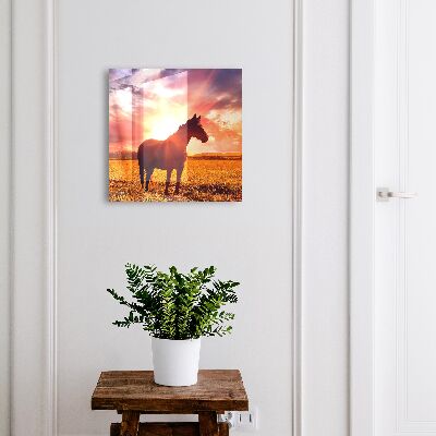 Modern kulcstartó szekrény Ló a napon