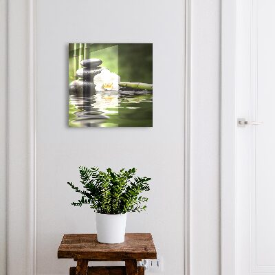 Modern kulcstartó szekrény Zen orchidea