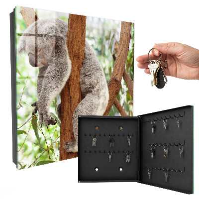 Kulcstartó doboz Koala Relaxáció