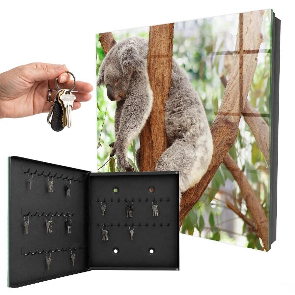 Kulcstartó doboz Koala Relaxáció