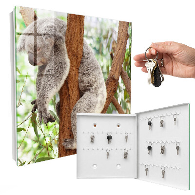 Kulcstartó doboz Koala Relaxáció
