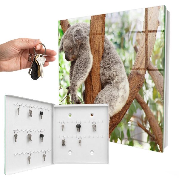 Kulcstartó doboz Koala Relaxáció