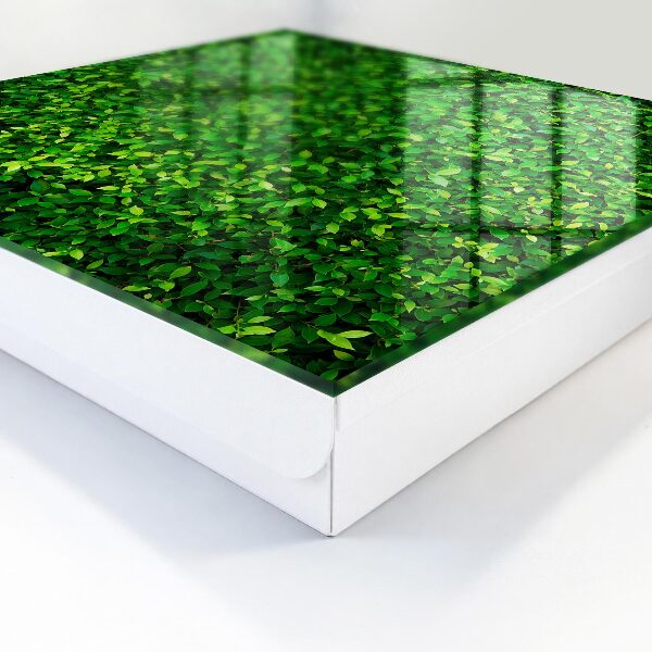 Kulcstartó doboz Zöld kert