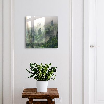 Modern kulcstartó szekrény Ködös erdő