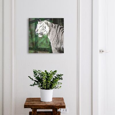Modern kulcstartó szekrény Fehér tigris