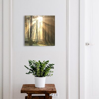 Modern kulcstartó szekrény Az erdő fénye