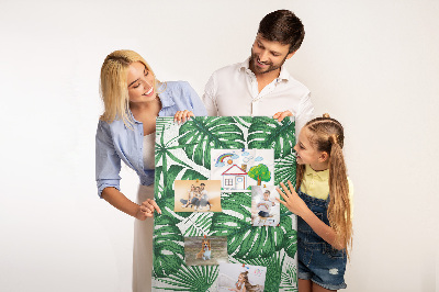 Fali parafa üzenőtábla Monstera levelek világos háttér előtt