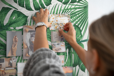 Fali parafa üzenőtábla Monstera levelek világos háttér előtt